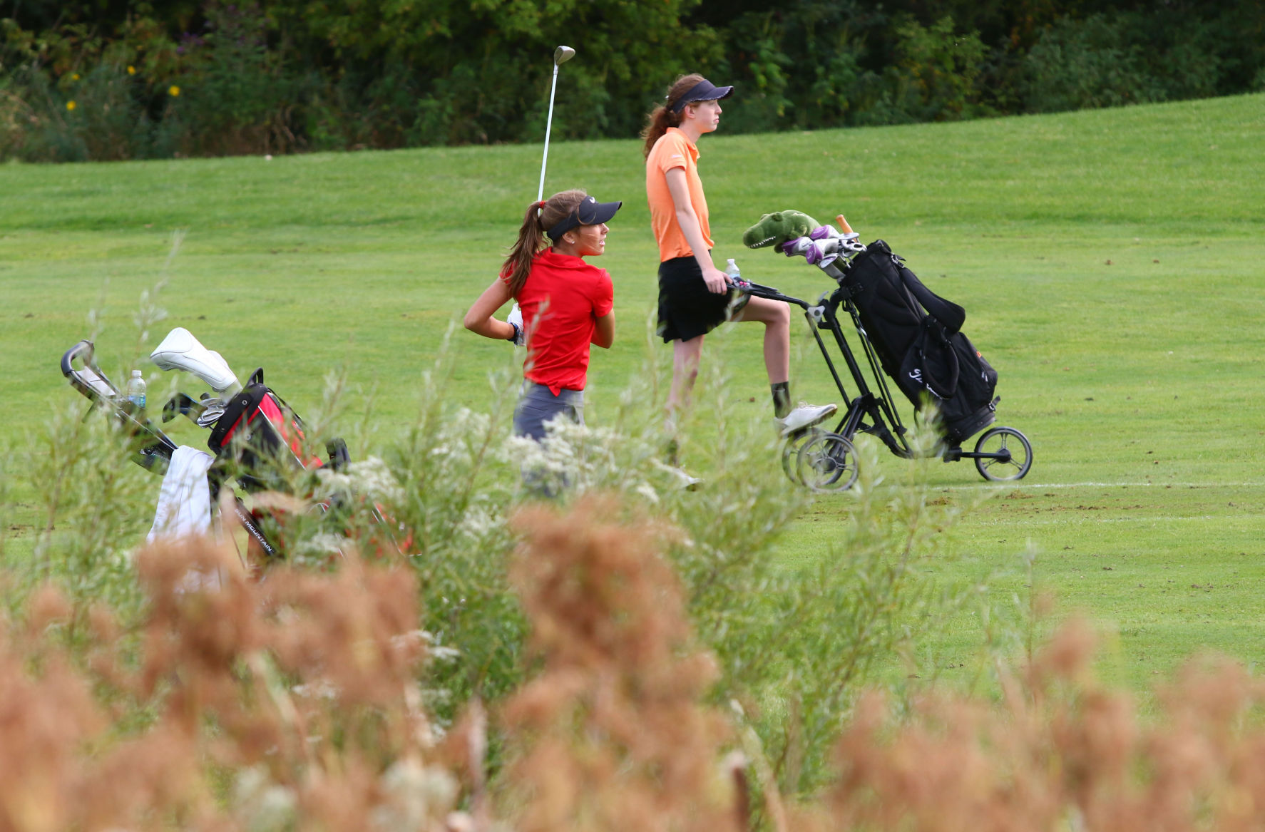 Gallery: Girls Golf Duneland Athletic Conference Tournament